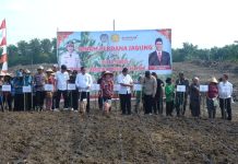 Dukung Swasembada Pangan, Pemkab Landak Gelar Tanam Perdana Jagung Dilahan PTPN VI