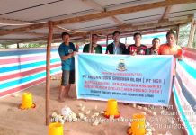 PT NSA Serahkan Bantuan Bibit Ayam Broiler Bagi Kelompok Meranti Jaya Abadi