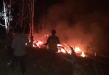 Personel TNI dan Polisi Bersama Warga Padamkan Karhutla di Benyuke Hulu