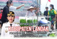 LTT Padi di Landak Tertinggi di Kalbar Selama Empat Bulan Berturut, Juli Capai 7.716,4 Hektare