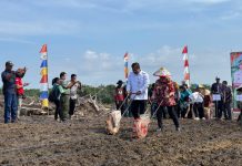 Realisasi LTT Jagung di Landak Lampaui Target 145,9 Persen per Juli 2025