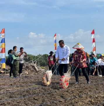 Realisasi LTT Jagung di Landak Lampaui Target 145,9 Persen per Juli 2025