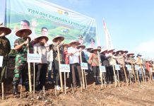 Landak Targetkan 11 Ribu Hektare Padi Gogo, Dukung Ketahanan Pangan Daerah