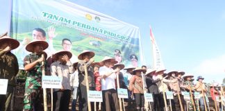 Landak Targetkan 11 Ribu Hektare Padi Gogo, Dukung Ketahanan Pangan Daerah