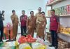 Bupati Karolin Resmikan Gerai Sembako dan BRILink Koperasi Merah Putih Desa Hilir Tengah