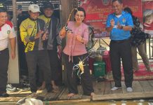 Bupati Landak Panen Udang Galah di Sungai Landak, Ajak Warga Jaga Kelestarian Sungai