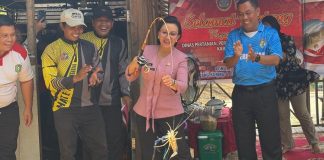 Bupati Landak Panen Udang Galah di Sungai Landak, Ajak Warga Jaga Kelestarian Sungai