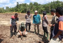 Kapolres Landak Tinjau Lahan Jagung untuk Dukung Ketahanan Pangan Nasional