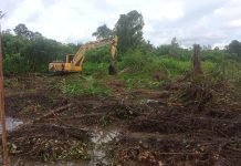 TNI Dukung Perluasan Lahan Pertanian di Landak, Cetak Sawah Baru untuk Swasembada Pangan