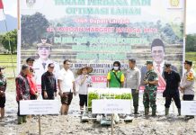 Capaian LTT Sawah Landak Tertinggi di Kalbar, Bupati Karolin : Bulan Oktober Hampir 15 Ribu Hektare
