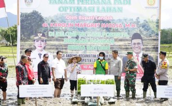 Capaian LTT Sawah Landak Tertinggi di Kalbar, Bupati Karolin : Bulan Oktober Hampir 15 Ribu Hektare