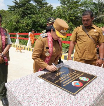 Bupati Karolin Resmikan Jembatan Baru Penghubung Desa di Amboyo Selatan