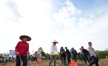 Landak Pacu Luas Tanam Jagung, Karolin Sebut Pangan Tak Boleh Tertunda