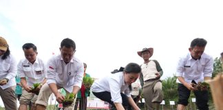 Buka Tanam Perdana Padi di Ngabang, Karolin Soroti Air, Irigasi, dan Bantuan Tepat