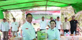 Dari Keterbatasan ke Sawah, Nikolaus Supin Jadi Motor Pertanian di Temiang