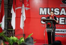 Karolin di Musancab PDI Perjuangan Landak : Badai Pasti Berlalu, Pelayanan Publik Tetap Nomor Satu