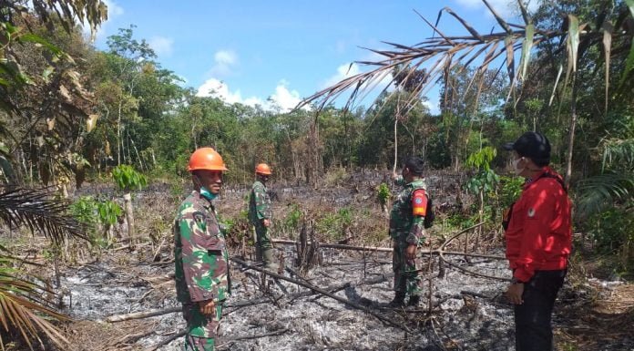 0,6 Hektar Lahan Kosong di Desa Ngarak Terbakar, Anggota Koramil Mandor di Kerahkan Cek Lokasi