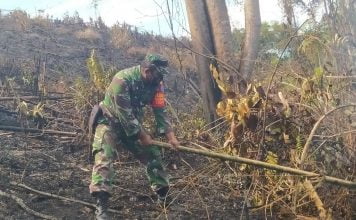 Kebakaran Lahan Kosong Terjadi di Desa Simpang Kasturi