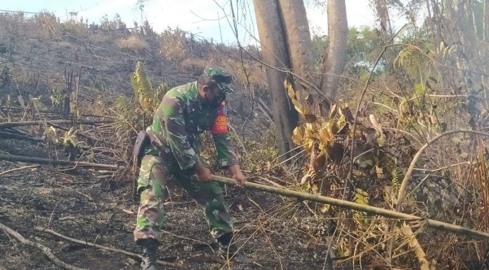 Kebakaran Lahan Kosong Terjadi di Desa Simpang Kasturi