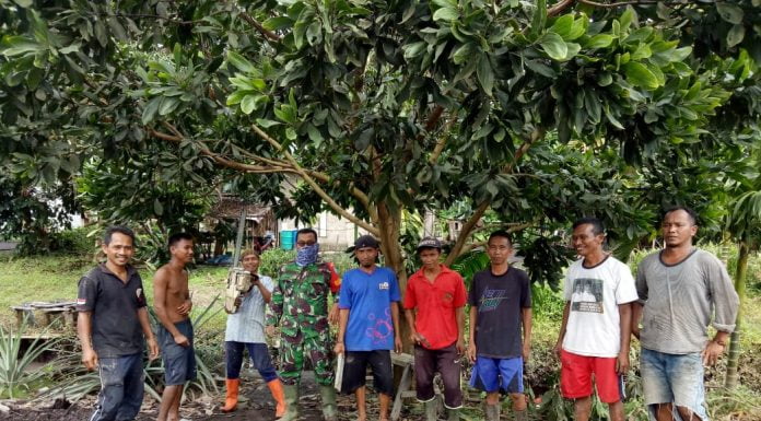 Anjangsana ke Desa Binaan, Cara Sertu Jumangin Babinsa Sengah Temila Dekatkan Diri Kepada Warga