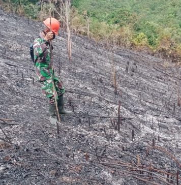 Diduga Akan Dijadikan Lahan Pertanian, 0,9 Hektar Lahan di Dusun Pasak Menyuke Terbakar