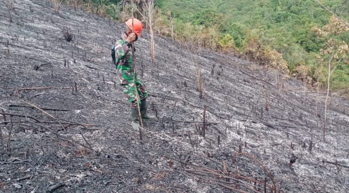 Diduga Akan Dijadikan Lahan Pertanian, 0,9 Hektar Lahan di Dusun Pasak Menyuke Terbakar