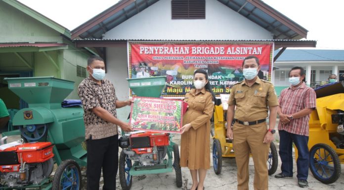 Bupati Karolin Serahkan Bantuan Alsintan Brigade