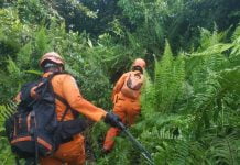 Seorang Warga Dilaporkan Hilang Saat Berburu di Hutan Desa Ambarawa