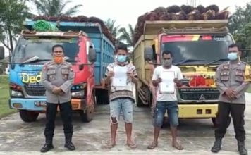 Tidak Dilengkapi Jaring Pengaman Dua Mobil Dump Truck Pengangkut Buah Sawit Diamankan