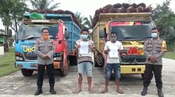 Tidak Dilengkapi Jaring Pengaman Dua Mobil Dump Truck Pengangkut Buah Sawit Diamankan