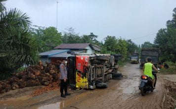 Mobil Dump Truck Pengangkut TBS Teguling di Jalan Raya Sidas-Simpang Tiga Desa Mamek
