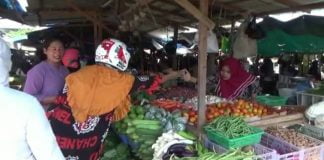 Harga Sejumlah Kominiti Sayur Mayur di Ketapang Melonjak