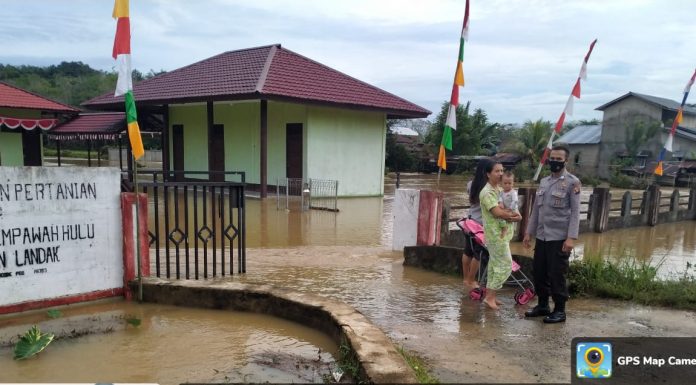 Luapan Sungai Sailo, Desa Mentonyek Digenangi Air