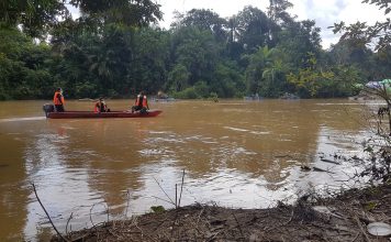 Aktivitas Peti di Dusun Entikit Telan Korban Jiwa