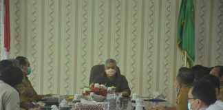 Pemkab Ketapang Evaluasi Perizinan Perkebunan Kelapa Sawit