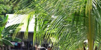 Serahkan Bantuan Korban Banjir di Desa Ulak Medang, Bupati Turut Sosialisasikan Program Kerja Pemkab Ketapang