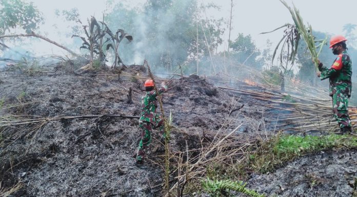 Cegah Karhutla Meluas, Babinsa Koramil Air Besar Bantu Padamkan Api di Lahan Warga