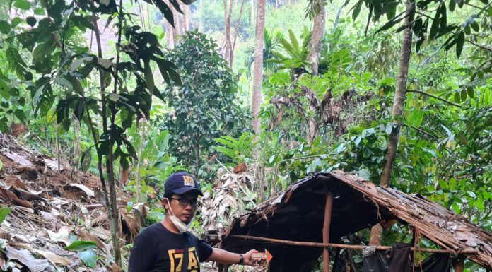 Mayat Lansia Penuh Luka Bakar di Bonti Gegerkan Warga