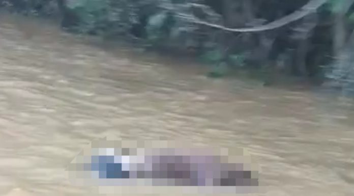 BREAKING NEWS: Korban Tenggelam di Sungai Belantian Ditemukan Dalam Kondisi Tak Bernyawa
