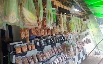 Tingkatkan UMKM, Masyarakat Diminta Jeli Maksimalkan Potensi Daerah