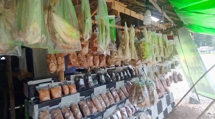 Tingkatkan UMKM, Masyarakat Diminta Jeli Maksimalkan Potensi Daerah