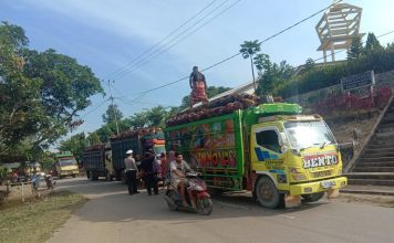 Dump Truck Pengangkut Tandan Buah Segar Wajib Gunakan Jaring Pengaman