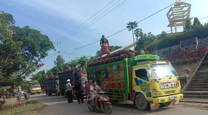 Dump Truck Pengangkut Tandan Buah Segar Wajib Gunakan Jaring Pengaman