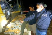 Baru Seminggu Bekerja, Mekanik Alat Berat Tewas Terlindas Saat Perbaiki Bulldozer