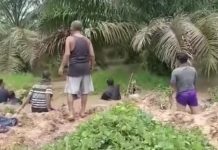 Ayah dan Anak Tenggelam di Parit Kebun Inti PTPN XIII Ngabang Ditemukan Meninggal Dunia