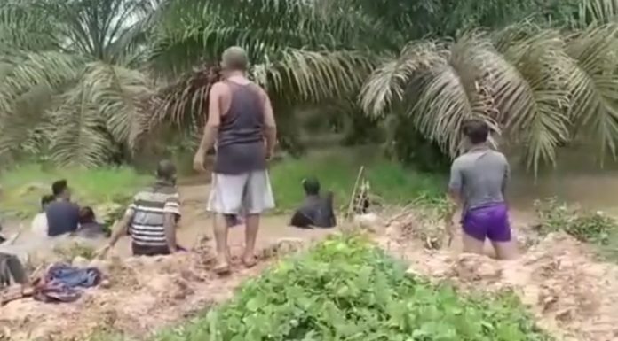 Ayah dan Anak Tenggelam di Parit Kebun Inti PTPN XIII Ngabang Ditemukan Meninggal Dunia