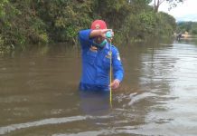 Banjir Rendam Tiga Kecamatan, di Ketapang Akses Jalan Siduk-Tayap Putus Total