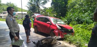 Sepeda Motor Vs Mobil di Banyuke Hulu, Pengendara Motor Alami Cedera