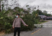Pohon Tumbang Timpa Kabel Listrik di Menjalin