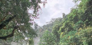 Air Terjun Riam Bedawan “Surga Keindahan Alam” di Bumi Intan Landak